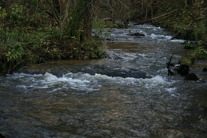 Rostoczek 11.2008 063